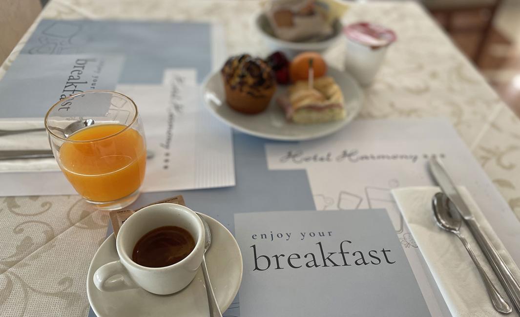 harmonyhotelrimini de hotel-mit-restaurant-rimini 025